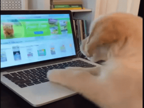 a dog is typing on a laptop with a green screen that says 'pets' on it